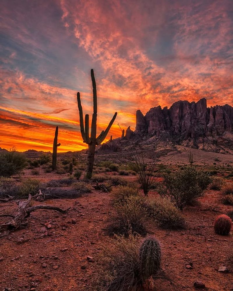Lost Dutchman: Superstition Mountains Mystery