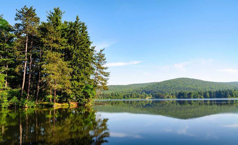 Allegany State Park's Red House Trails: Old-Growth Forest Sanctuary