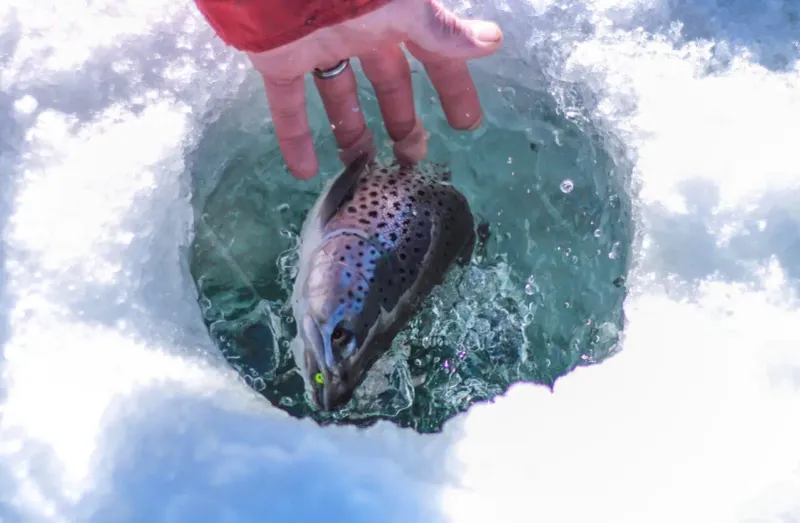 Ice Fishing On Frozen Lakes