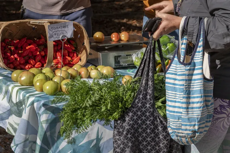 Piedmont Park Green Market - Urban Oasis of Local Bounty