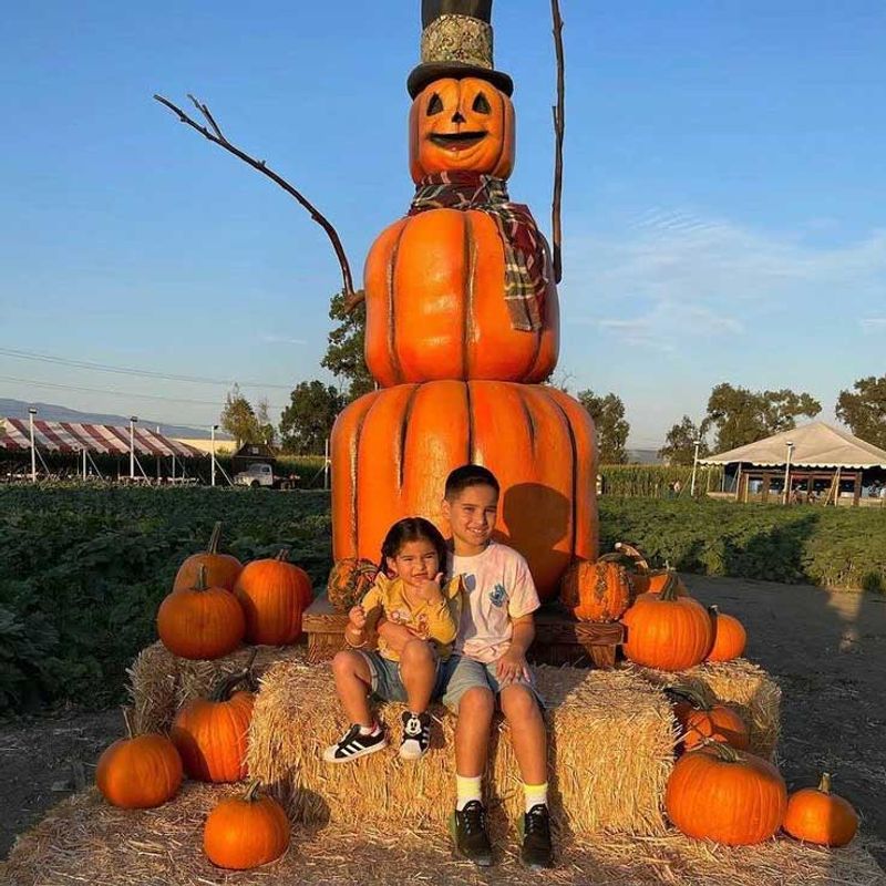 Frosty's Forest Pumpkin Patch in Chino: Family Fun in Southern California