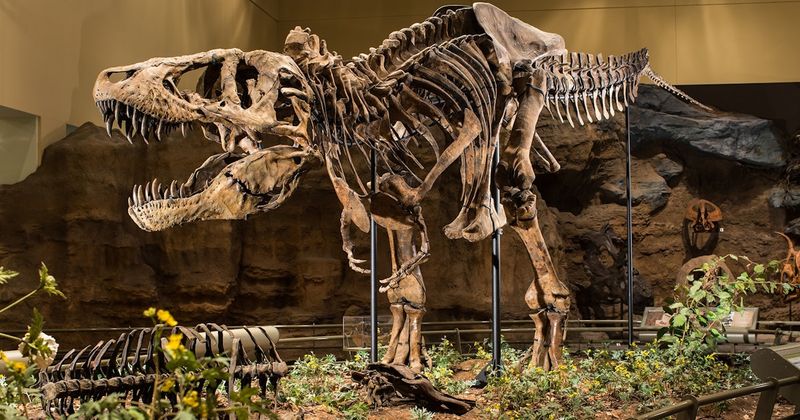 Carnegie Museum of Natural History (Pittsburgh)