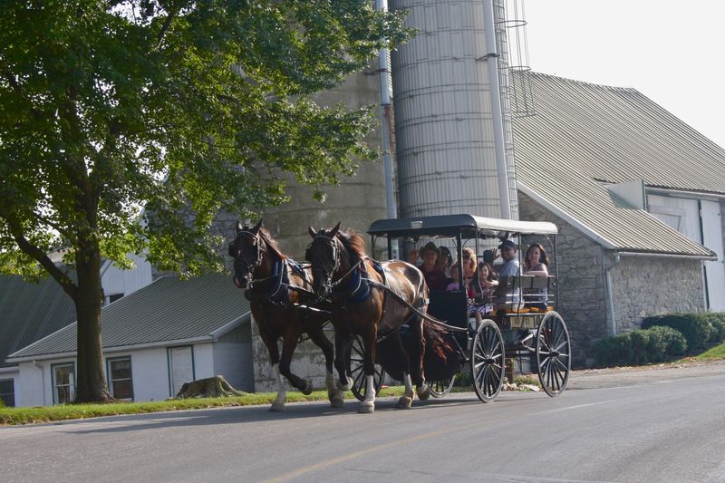 The Amish Farm and House (Lancaster)