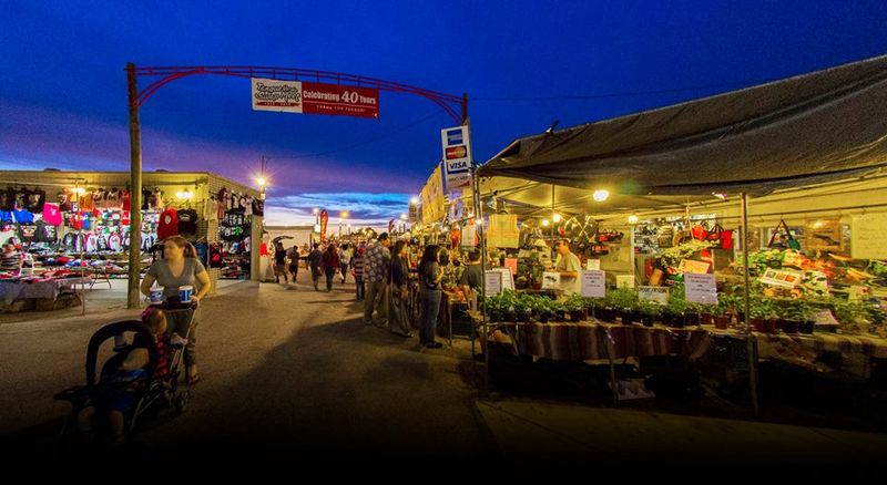 Tanque Verde Swap Meet in Tucson: Desert Nights and Local Finds