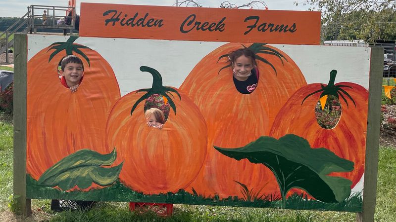 Hidden Creek Farms: Sunbury's Peaceful Pumpkin Haven