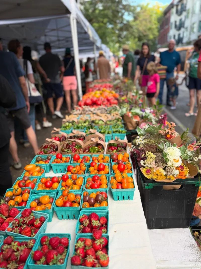 Ballard Farmers Market: A Sunday Tradition