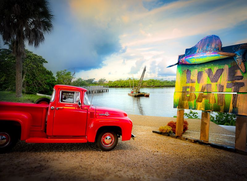 Roadside Picnics Under Palm Trees