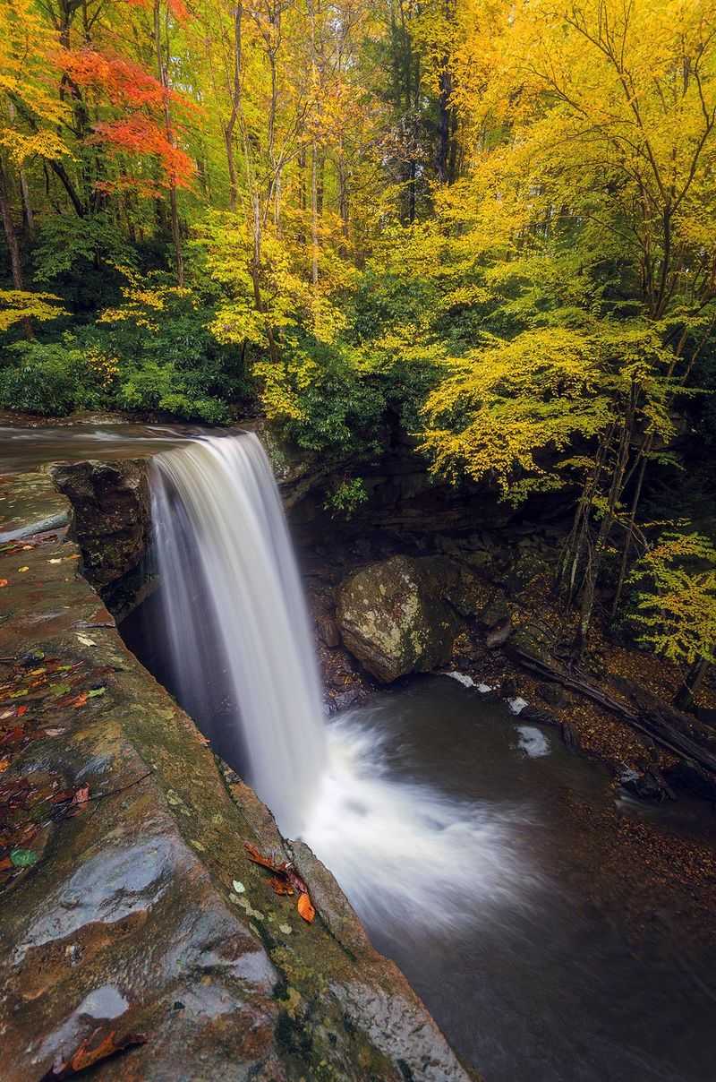 Ohiopyle State Park: Waterfalls Framed in Fall Splendor