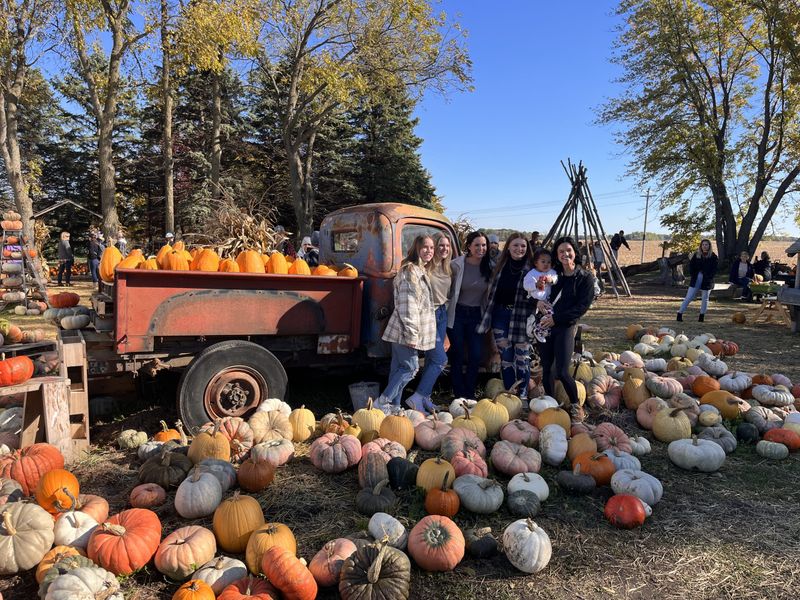 Scarecrow Festival in Spicer: Family Fun and Local Flavors