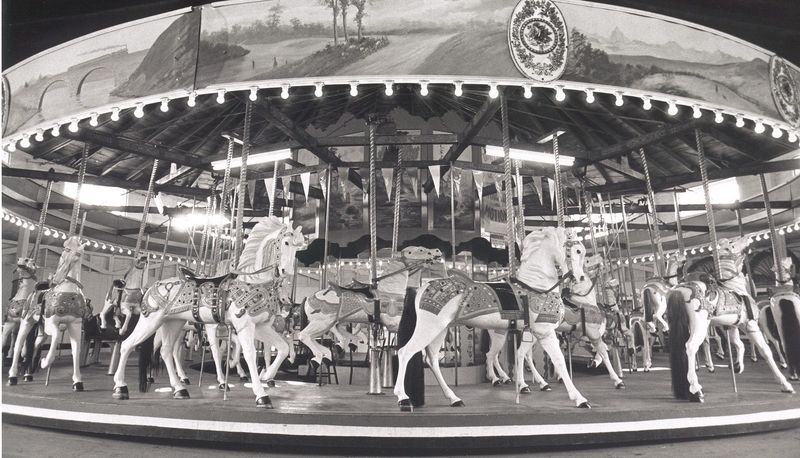 Potter Park Rides