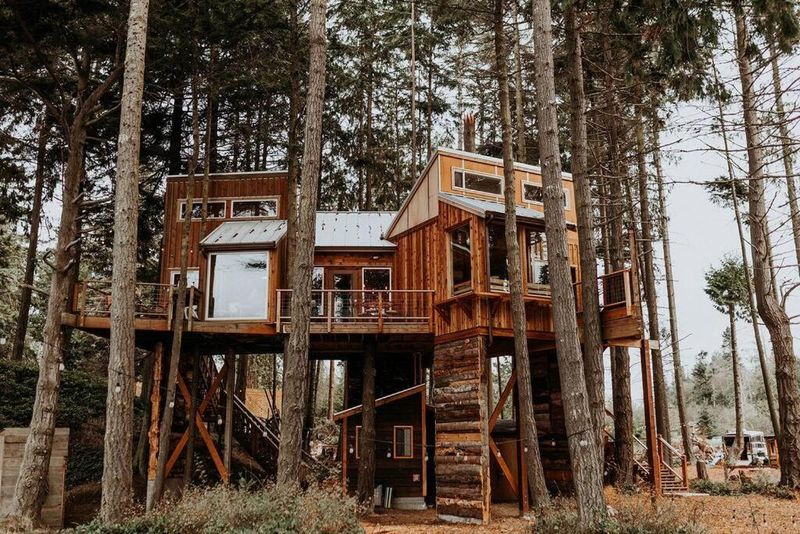 Eagle’s Perch Treehouse (Port Angeles)