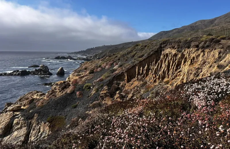 Garrapata State Park's Coastal Bluff Trail