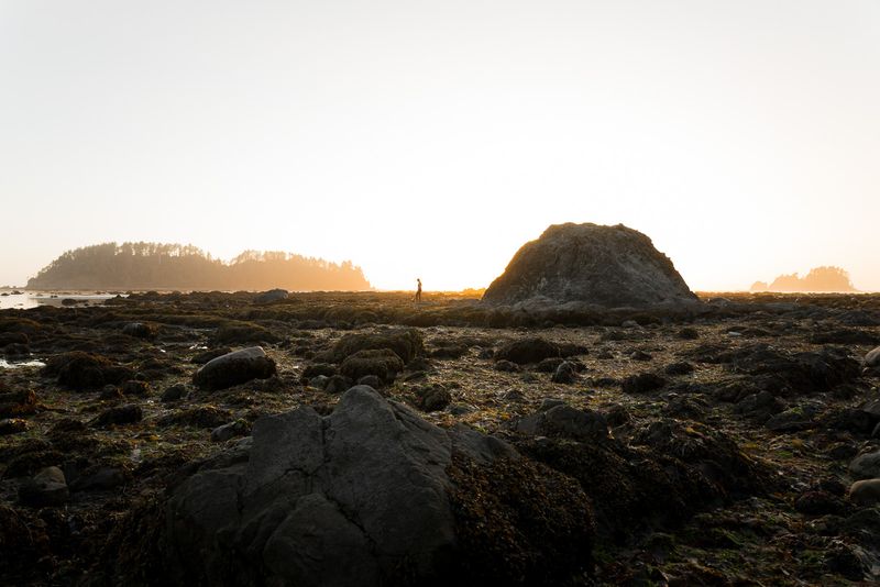Cape Alava: America's Westernmost Beach