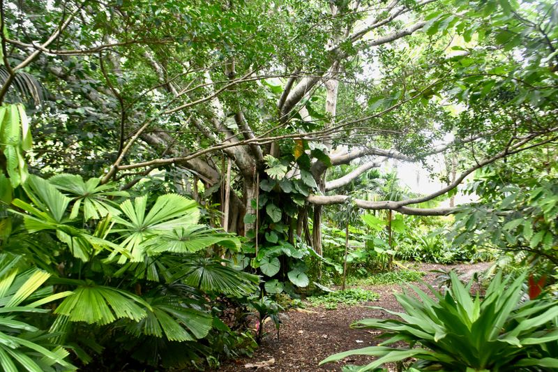 Deerfield Beach Arboretum