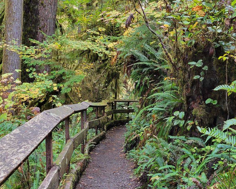 Schafer State Park