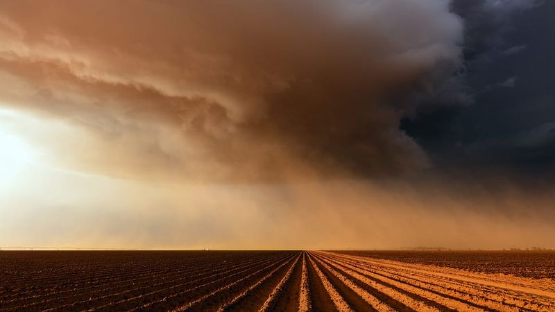 Use Local Weather Resources