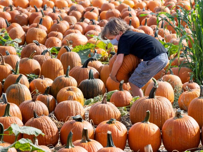 Family-Friendly Activities for All Ages