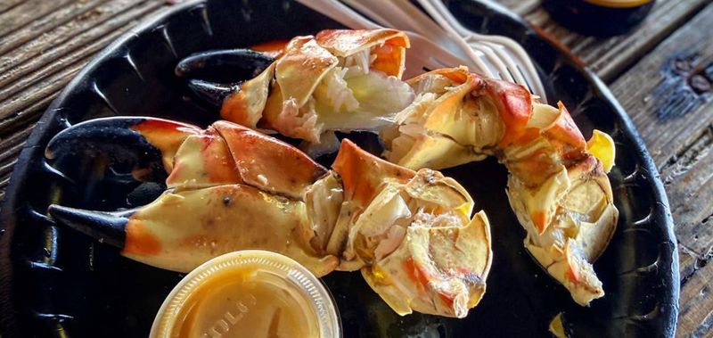 Everglades Seafood Festival: Wilderness Feast in Everglades City