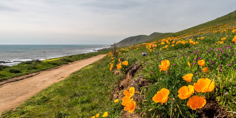 Harmony Headlands State Park