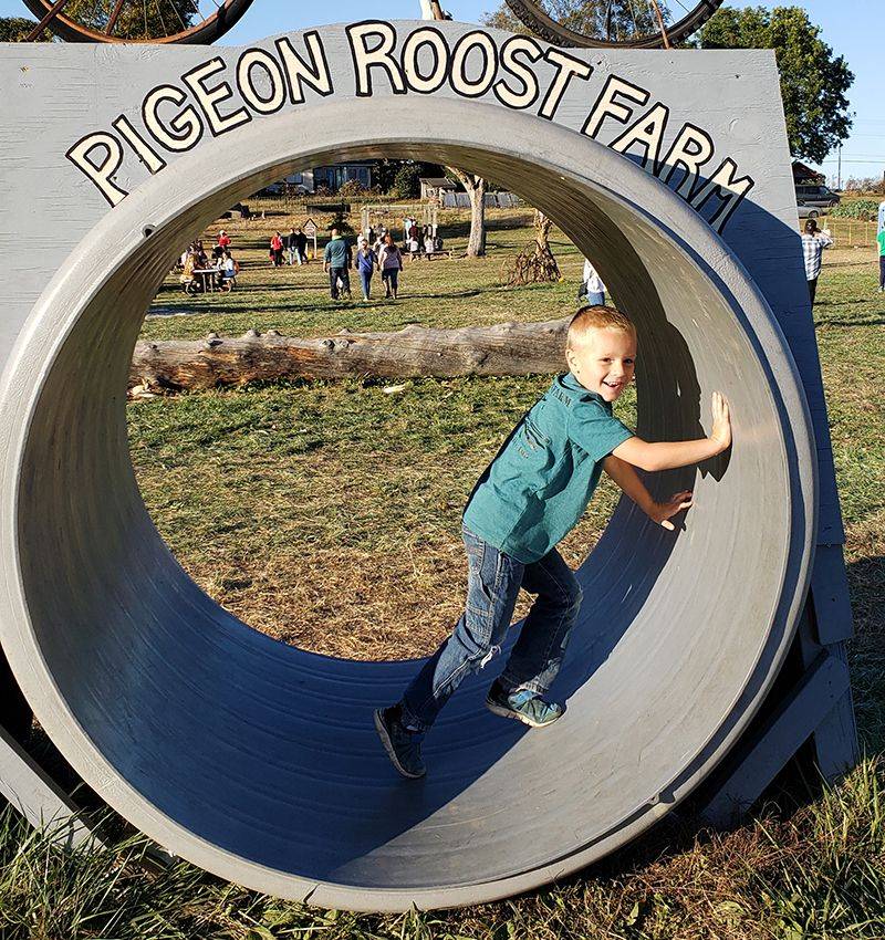 Pigeon Roost Farm: Hebron's Playground Paradise