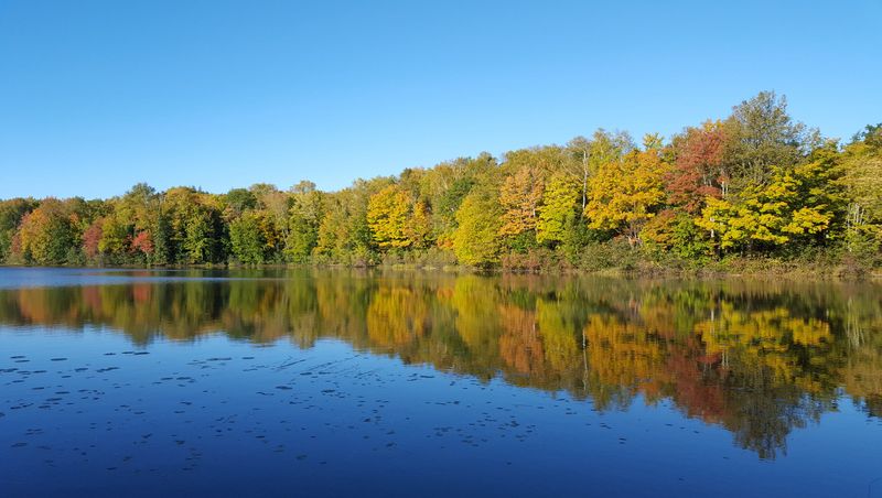 Rainbow Lake Wilderness, Bayfield County