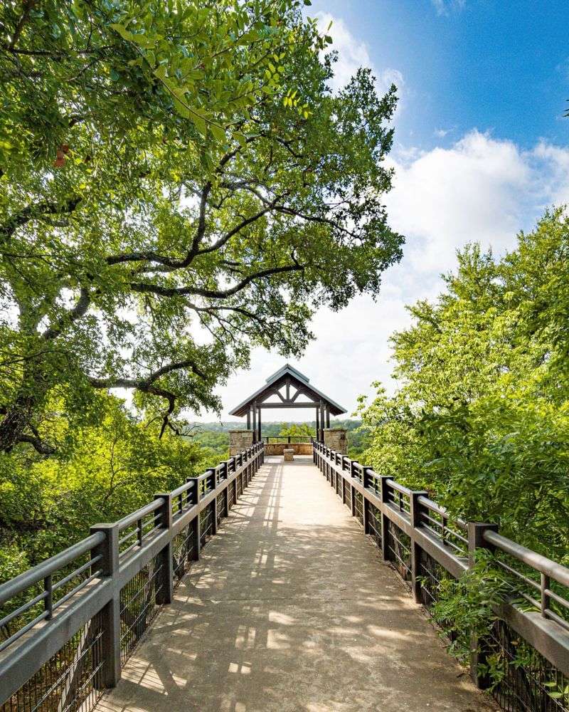 Urban Escape at Arbor Hills Nature Preserve