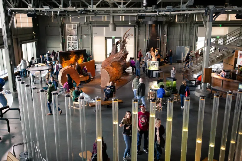 Visit The Exploratorium