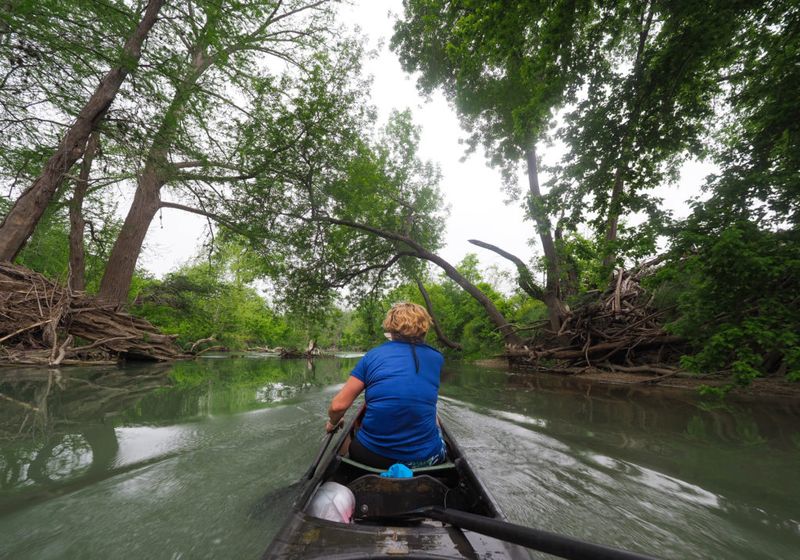 San Marcos River, Middle Sections (Martindale to Staples / Shady Grove to Zedler Mill)