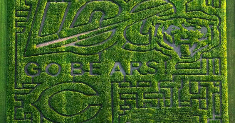 Jonamac Orchard Corn Maze (Malta)