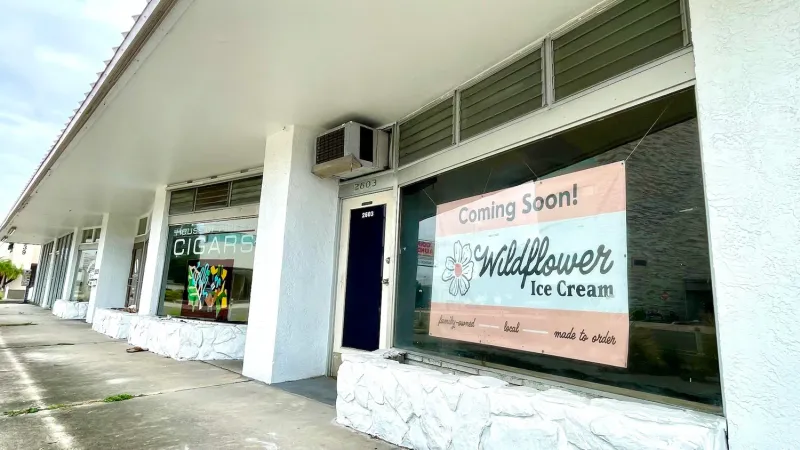 Wildflower Ice Cream Shop (St. Petersburg)