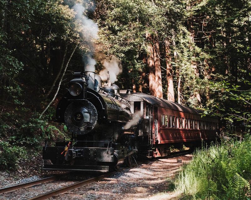 The Skunk Train's Surprising History and Unusual Name