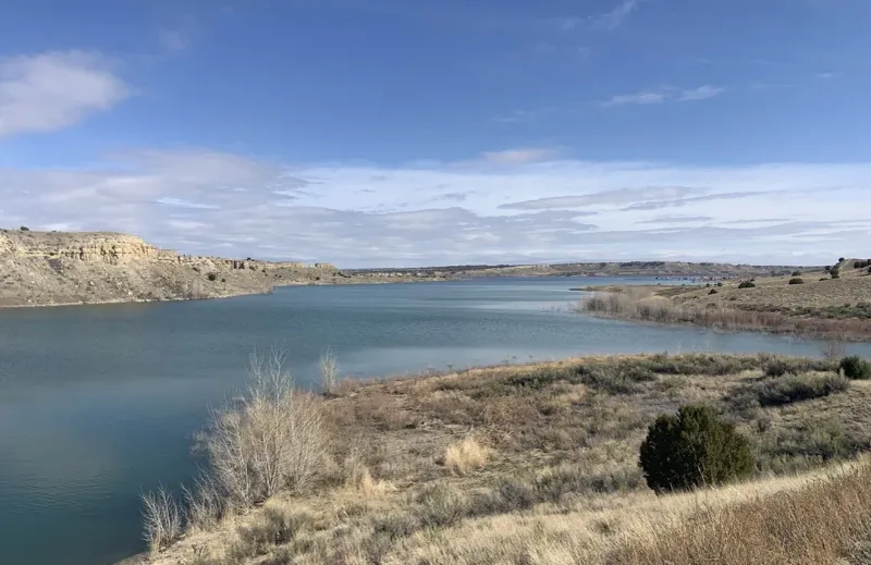 Brush Hollow State Wildlife Area: Waterside Wonders