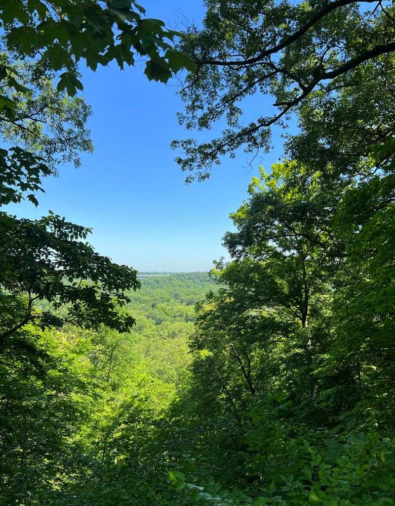Ancient Overlook at Fort Ancient