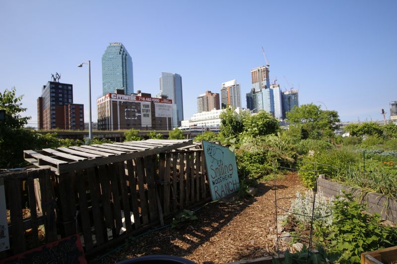 Smiling Hogshead Ranch's Urban Farm