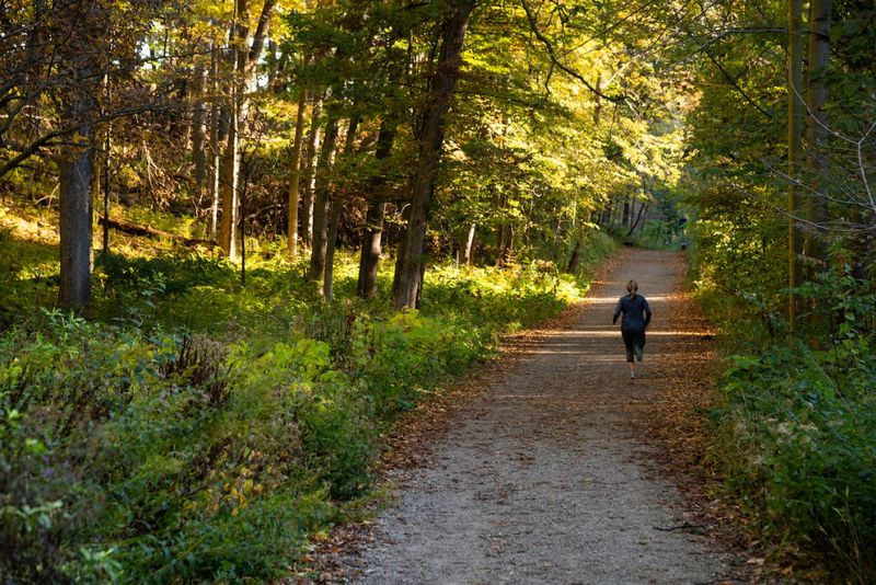 Nichols Arboretum's Valley Trails