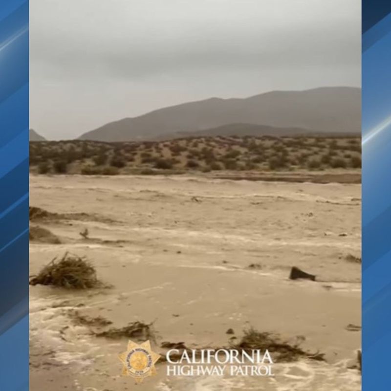 Safety Recommendations as Recovery Timeline Remains Uncertain