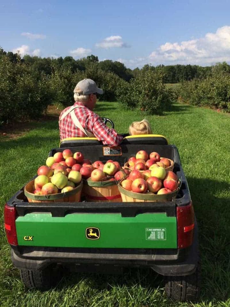 Friske Farm Market - Ellsworth