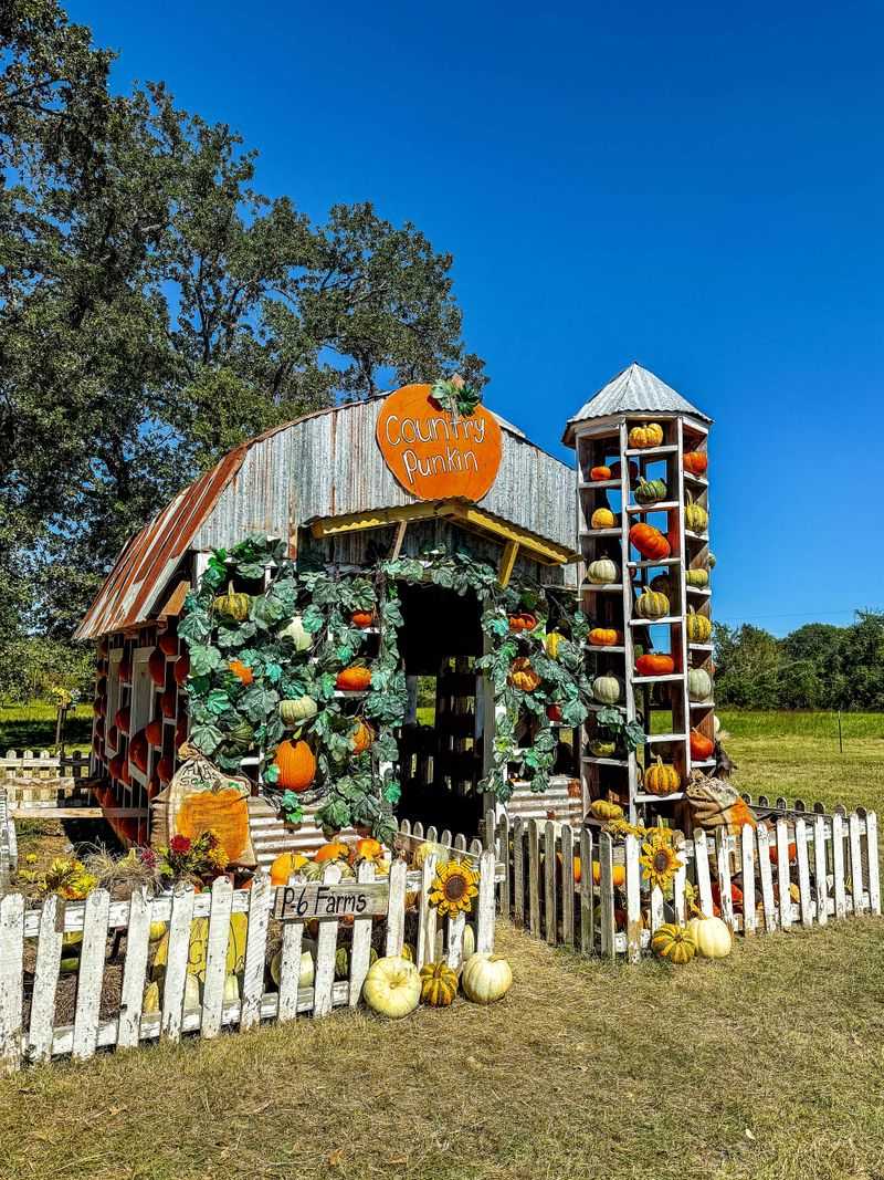 P-6 Farms - Montgomery