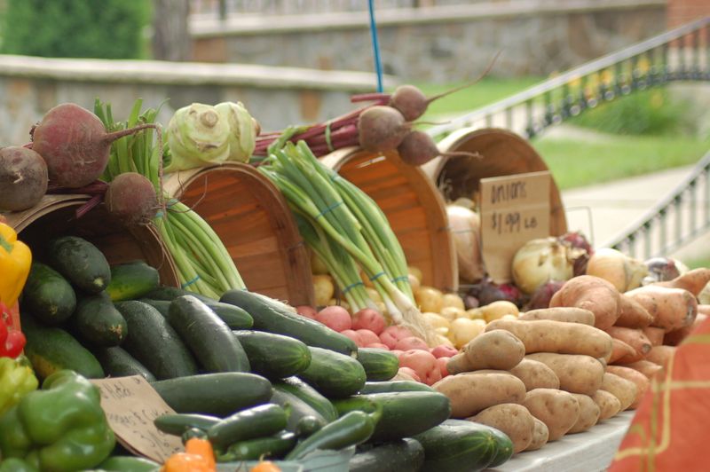 Taste the Harvest at Oswego Farmers' Market