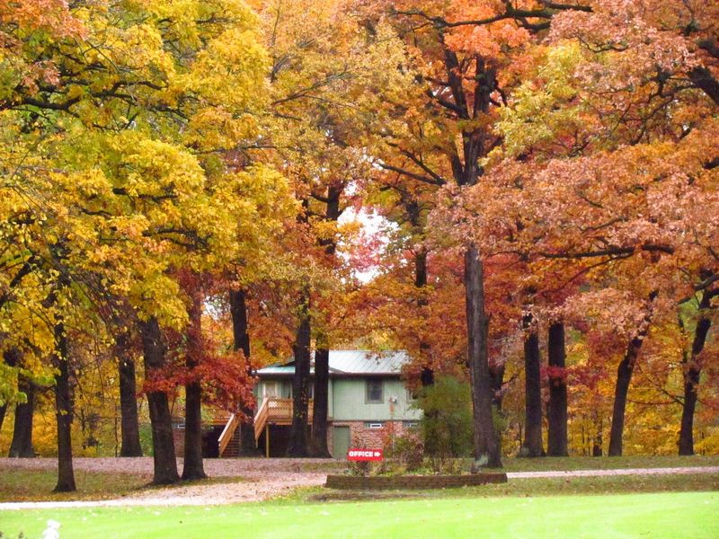 Kishauwau Cabins - Tonica, IL