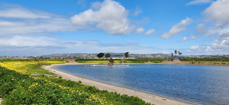 Fiesta Island: San Diego's Doggy Wonderland