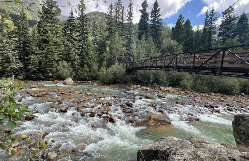 Elk Creek Trail: A Wildlife Wonderland