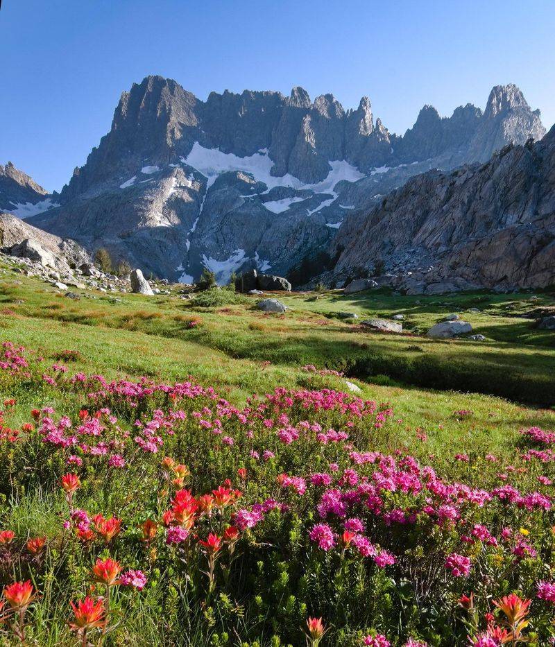 Long Valley Meadow, Sierra National Forest