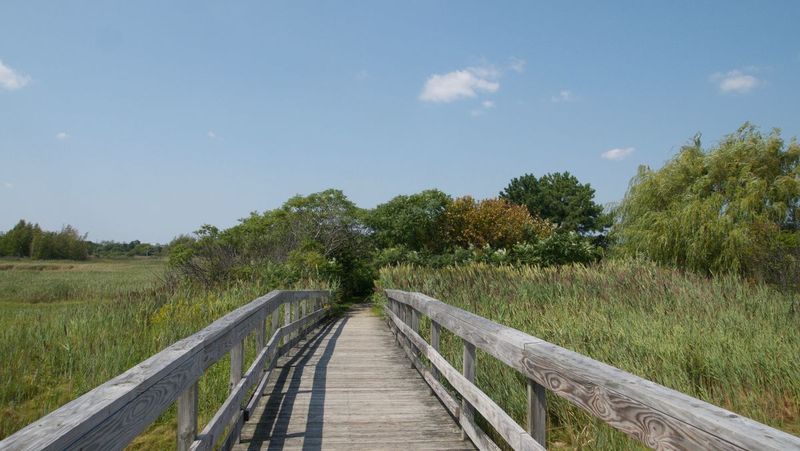 Belle Isle Marsh Reservation: Coastal Wetland Haven