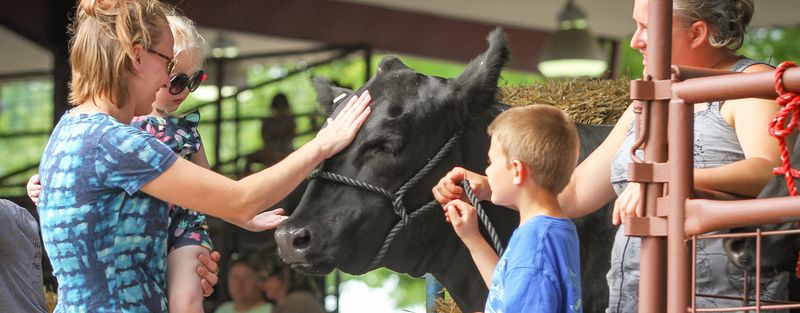 Sussex County Farm and Horse Show: Augusta's Rural Art Heritage