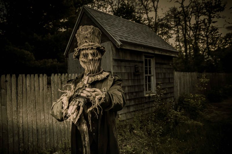 Hysteria at Connors Farm: Brave a Haunted Forest Trail