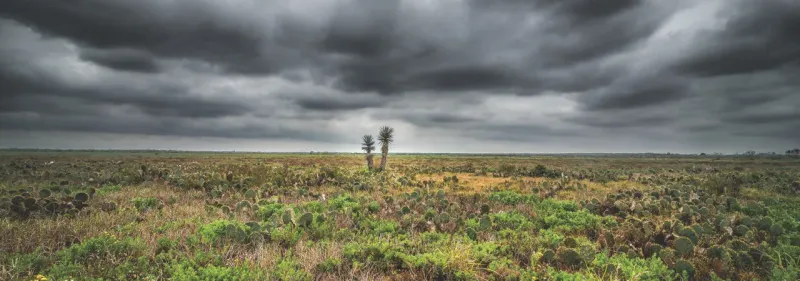 Palmito Ranch: Civil War's Last Battlefield