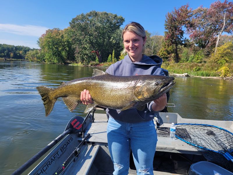 Manistee River's Salmon Spectacle