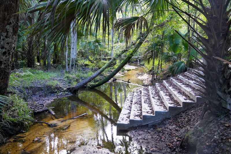 Spring Hammock Preserve, Seminole County
