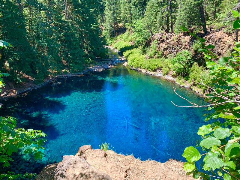 Blue Pool (Tamolitch Falls): Azure Wonder Loved to Death